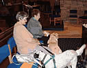 Picrture, Dogs in Church